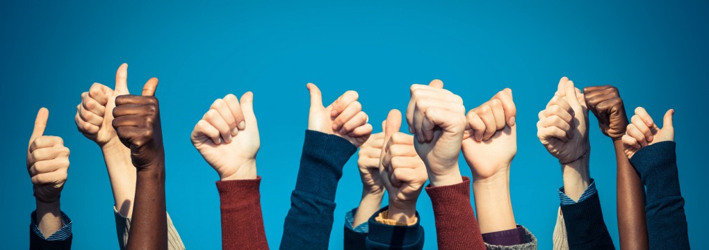 De jubileum scholingsdag: een groot succes!